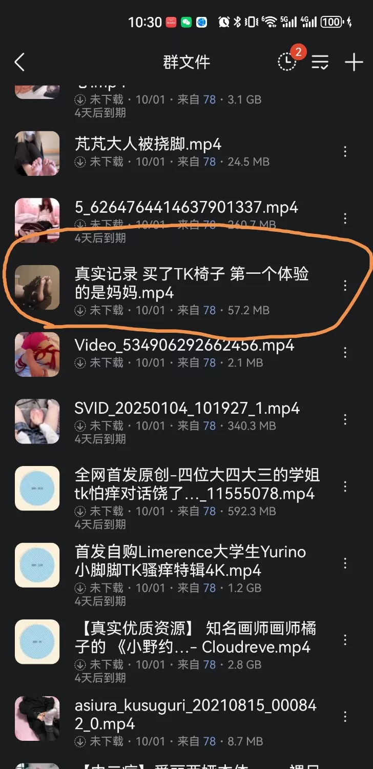 Screenshot_20251007_223038.webp