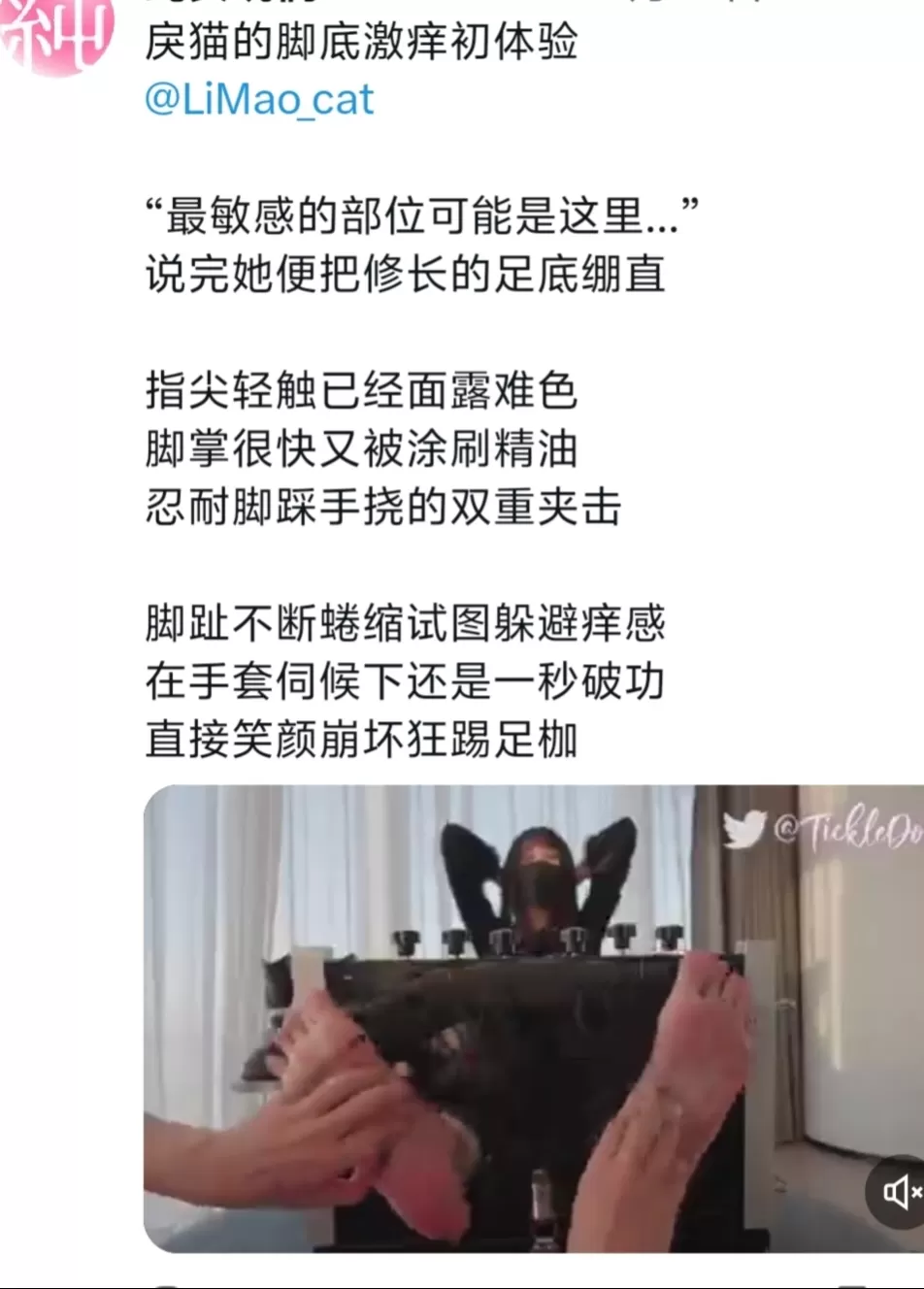 120321t5tgcdpkzklvpzvp.webp