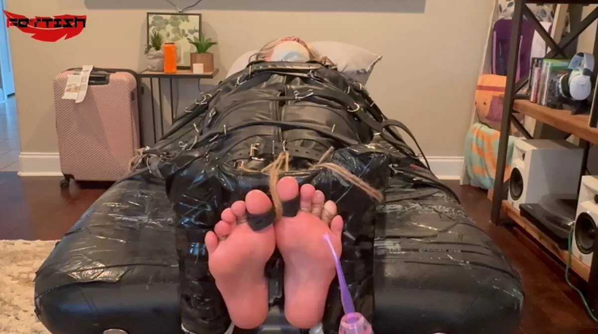 4.webp