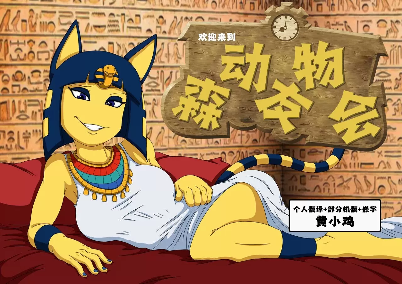 jpg39.webp