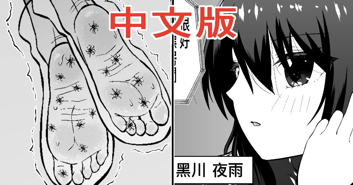 cover 2.webp