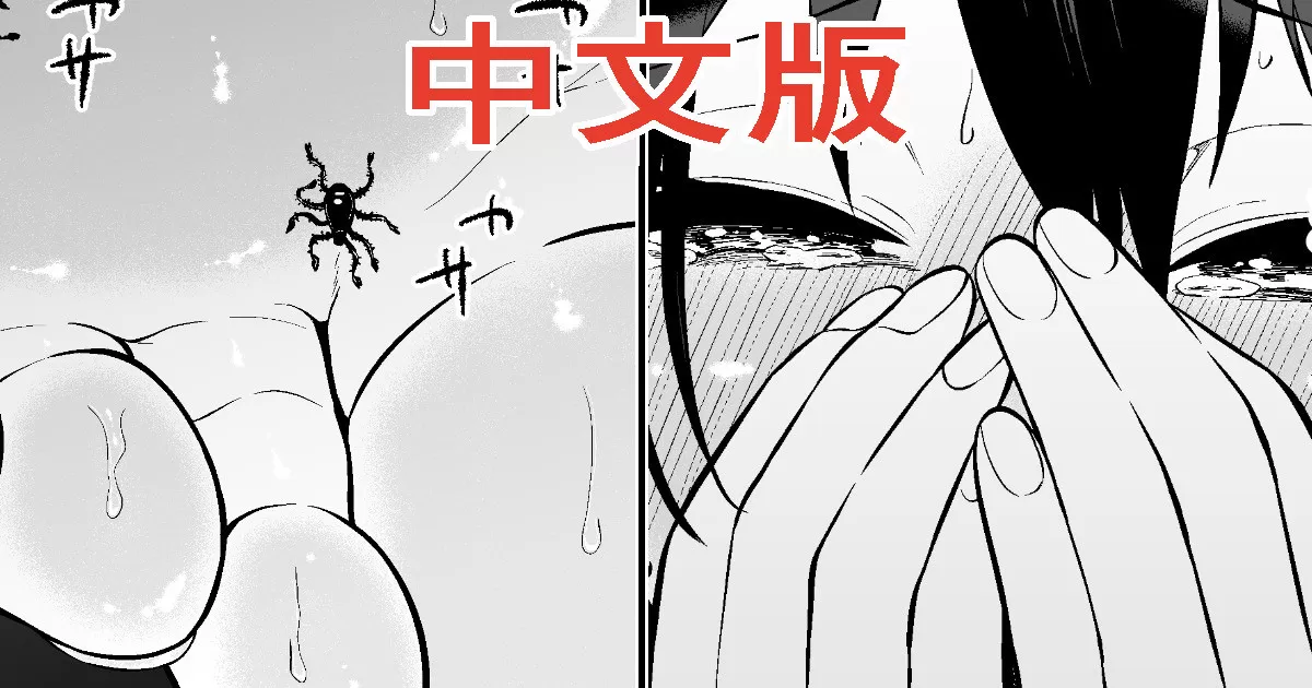 cover 4.webp