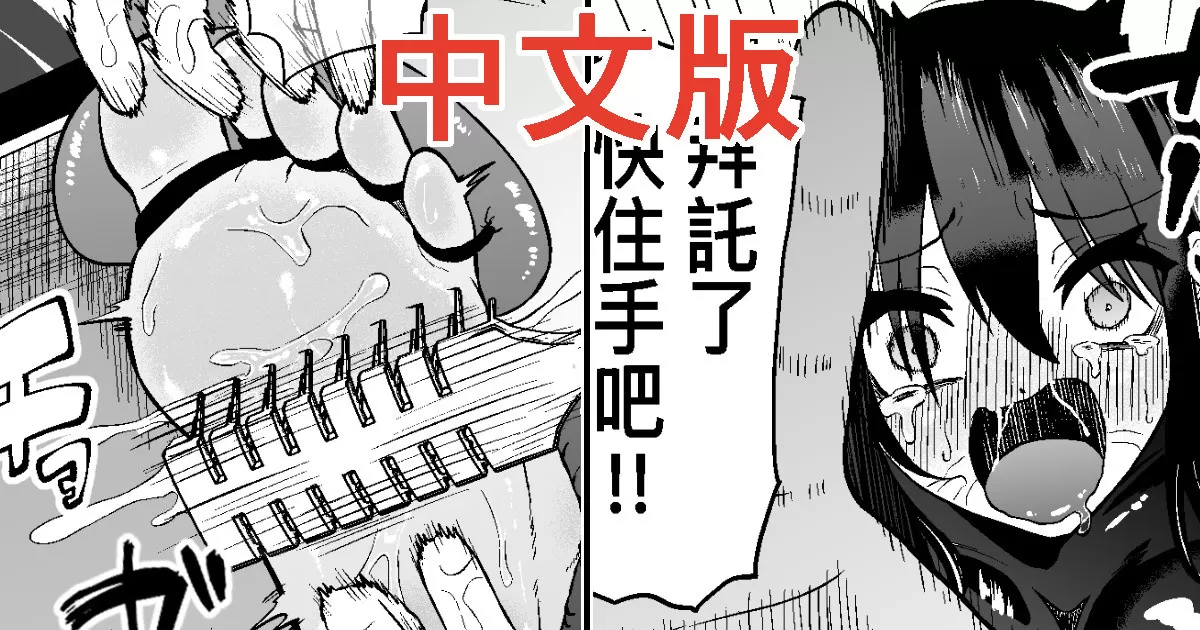 cover 8.webp